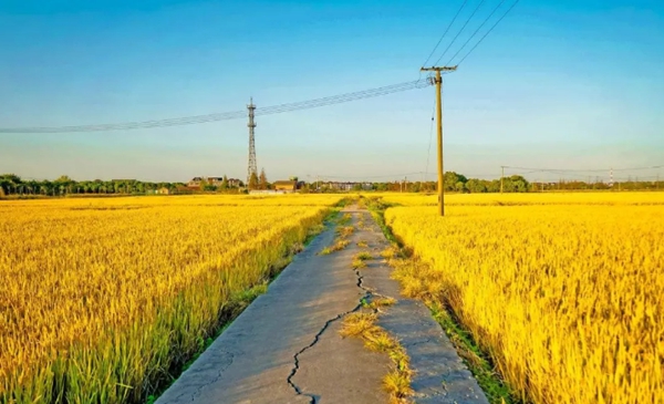 乡间风景